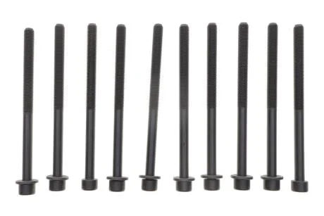 Комплект болтів гбц REINZ VICTOR REINZ 14-10383-01