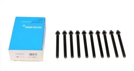 Комплект болтів гбц REINZ 14-32005-01 VICTOR REINZ 143200501