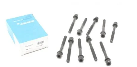 Комплект болтів гбц REINZ VICTOR REINZ 14-32104-01