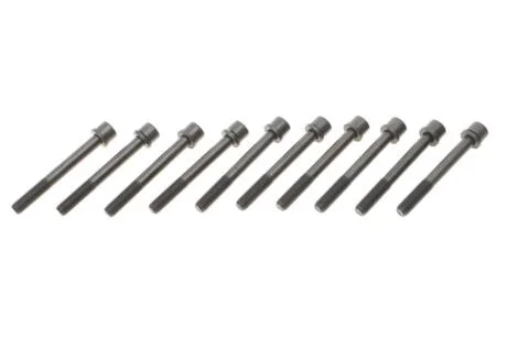 Комплект болтів гбц REINZ VICTOR REINZ 14-32160-01