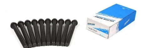 Комплект болтів гбц REINZ VICTOR REINZ 14-32172-01