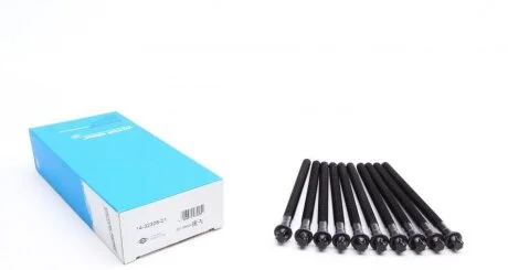 Комплект болтів гбц REINZ VICTOR REINZ 14-32308-01