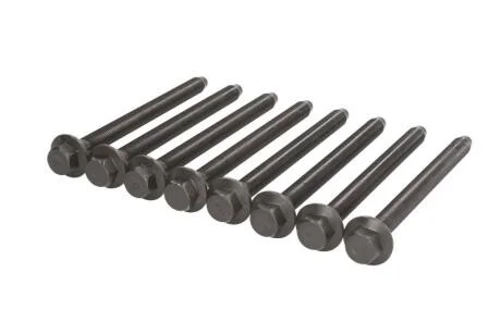 B_Комплект болтів ГБЦ Range Rover 2.7-3.0 TDV6 (надо 2 на авто) VICTOR REINZ 143234401