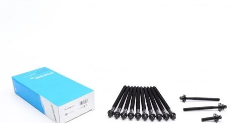 Комплект болтів гбц REINZ VICTOR REINZ 14-32347-01