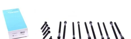 Комплект болтів гбц REINZ VICTOR REINZ 14-32359-01