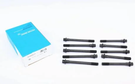 Комплект болтів гбц REINZ VICTOR REINZ 14-55002-01