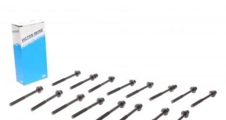 Комплект болтів гбц REINZ VICTOR REINZ 14-55007-01