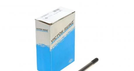 Комплект болтів гбц REINZ VICTOR REINZ 14-55040-01