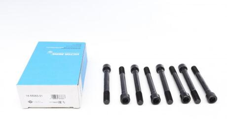 Комплект болтів гбц REINZ VICTOR REINZ 14-55063-01