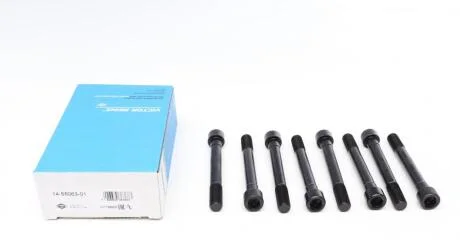 Комплект болтів гбц REINZ VICTOR REINZ 14-55063-01