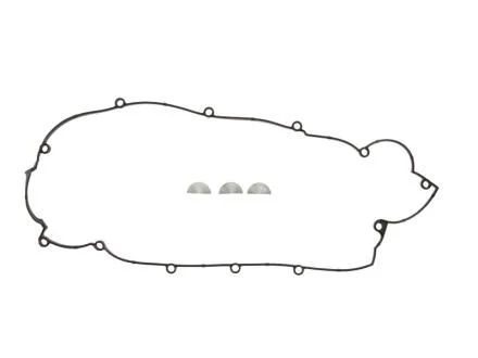 Комплект прокладок клапанної кришки REINZ VICTOR REINZ 15-53976-01