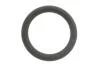 Ущільнююче кільце REINZ VICTOR REINZ 40-76919-00 (фото 1)