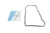 Прокладка клапанної кришки REINZ VICTOR REINZ 71-12587-00 (фото 1)
