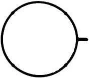 Прокладка впускного колектора BMW M43B16 E46 00- VICTOR REINZ 713317600