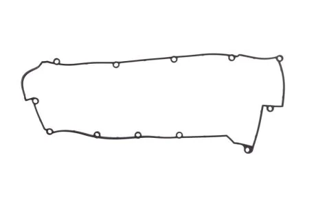 Прокладка клапанної кришки REINZ VICTOR REINZ 71-53976-00