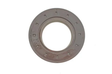 Ущільнююче кільце REINZ VICTOR REINZ 81-17328-20