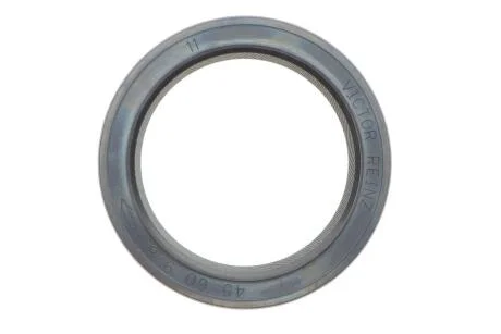 Ущільнююче кільце VICTOR REINZ 81-19195-00