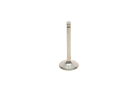 Клапан впускний VW Golf (84-98), Jetta (84-92), Passat (88-97), T4 (91-04) / Seat Ibiza (93-96), Toledo (92-96) Vika 11090177201