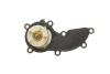 Термостат з корпусом VW Touareg (13-)/Audi A4 (08-), A6 (09-14), A8 (10-13), Q5 (13-), Q7 (10-) Vika 11211699001 (фото 4)
