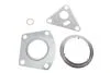Комплект прокладок турбіни VW T5 (03-08) 2.5L mot.AXE,BLJ Vika 11451790901 (фото 1)