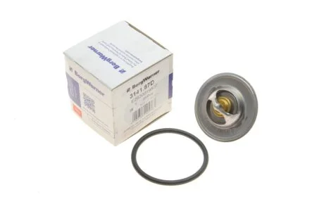 Термостат WAHLER 3141.87D