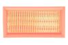 Фільтр повітряний FIAT PANDA /AP040 (WIX-FILTERS UA) WIX FILTERS WA6202 (фото 1)
